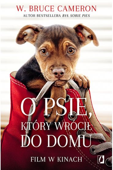 O psie, ktry wrci do domu. Sprawd >>