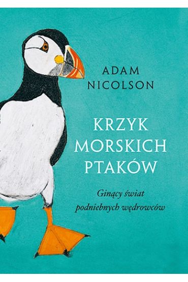 Krzyk morskich ptakw