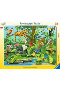 Puzzle 11 el. Co tu pasuje? Zwierzęta lasu deszczowego Ravensburger