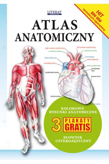 Atlas anatomiczny