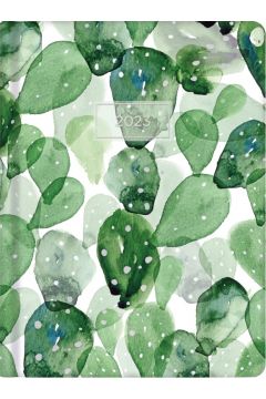 Kalendarz tygodniowy 2023 Zielone kaktusy ALBI