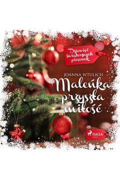 Audiobook Maleńka przyszła miłość mp3