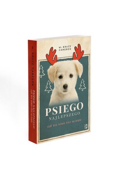 Psiego najlepszego. By sobie pies na wita