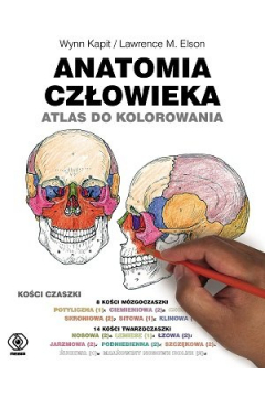 Anatomia człowieka. Atlas do kolorowania