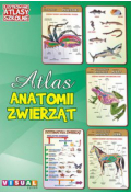 Ilustrowany atlas szkolny. Atlas anatomii zwierząt
