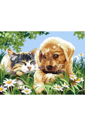 Norimpex Obraz Malowanie po numerach - Piesek z kotkiem