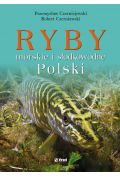 eBook Ryby morskie i słodkowodne Polski pdf