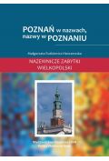 Poznań w nazwach, nazwy w Poznaniu