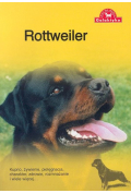 Pies na medal. Rottweiler