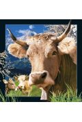 Pocztówka 3D Szwajcarska krowa