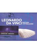 Leonardo da Vinci Natura i wynalazek