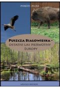eBook Puszcza Białowieska - Ostatni las pierwotny Europy pdf mobi epub