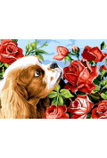 Norimpex Obraz Malowanie po numerach - Pies z różami