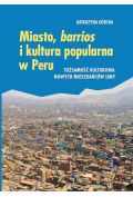 Miasto, barrios i kultura popularna w Peru
