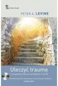 Uleczyć traumę. 12-stopniowy program wychodzenia z traumy