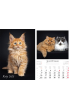 Kalendarz 2023 Ścienny wieloplanszowy Koty