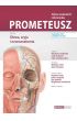 PROMETEUSZ Atlas anatomii człowieka Tom 3 Głowa, szyja i neuroanatomia. Mianownictwo łacińskie i