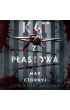 Audiobook Kat z Płaszowa mp3