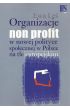 eBook Organizacje non profit w nowej polityce społecznej w Polsce na tle europejskim pdf