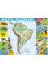 Puzzle ramkowe 72 el. Ameryka Południowa mapa fizyczna Demart