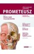 Prometeusz Atlas anatomii człowieka Tom III. Mianownictwo angielskie i polskie