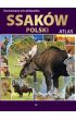Ilustrowana encyklopedia ssaków Polski. Atlas