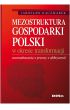 eBook Mezostruktura gospodarki Polski w okresie transformacji. Uwarunkowania, procesy, efektywność pdf